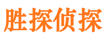 平安市侦探公司